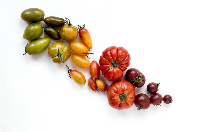 Aprende a cocinar tomates paso a paso