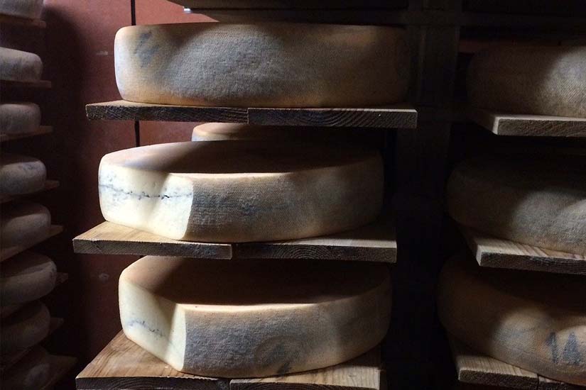 Queso francés Morbier