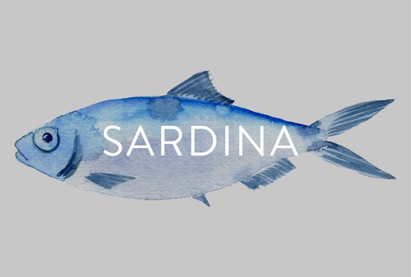 Recetas de sardinas saludables