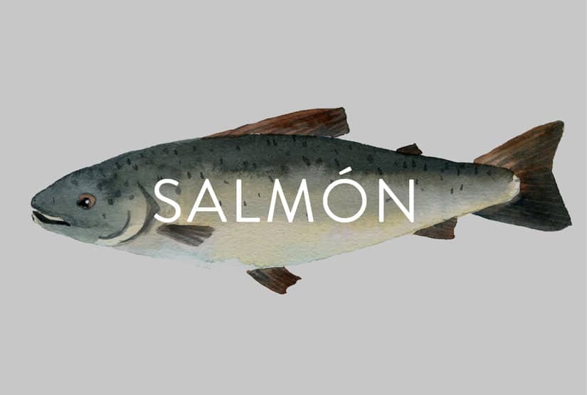 Aprende a cocinar salmón saludablemente